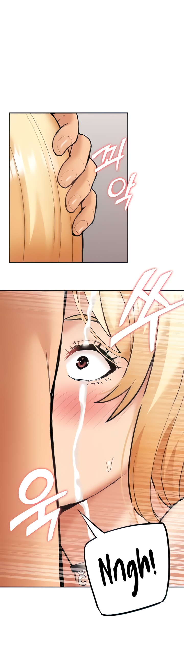 ShiroDoujin Present