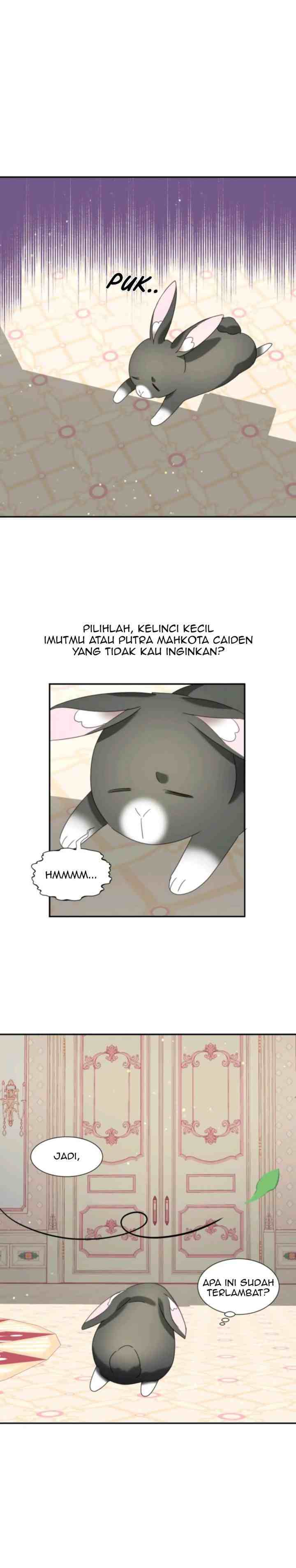 The Fake Princess Op Bunny chapter 24 halaman 17