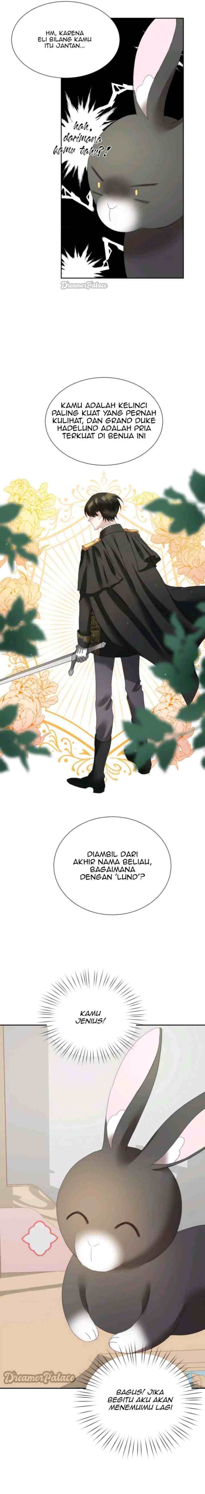 The Fake Princess Op Bunny chapter 4 halaman 17