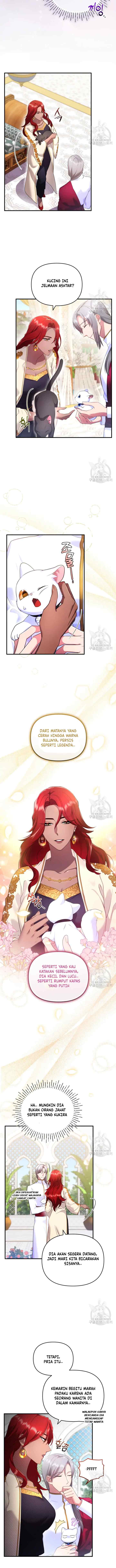 Became The Sultan's Favorite Cat chapter 5 halaman 11