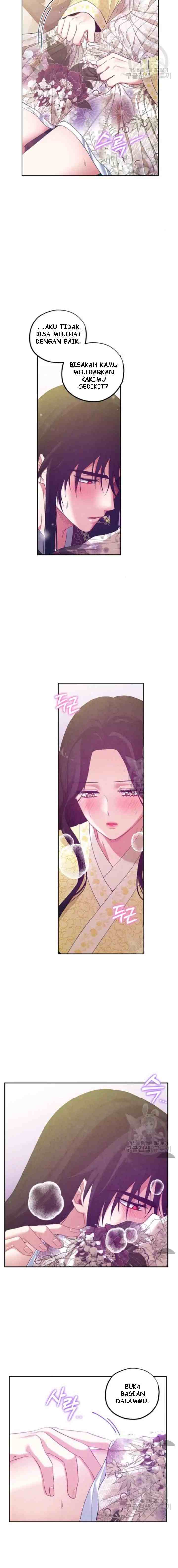 Elixir of the Sun chapter 37 halaman 11