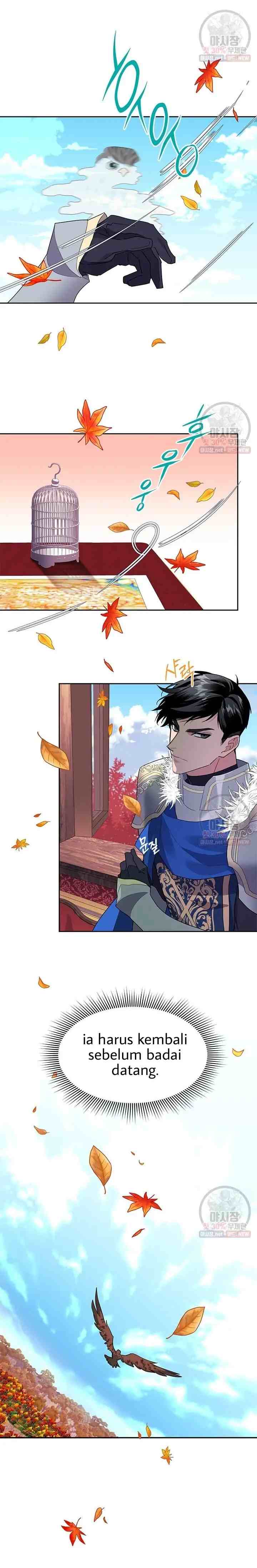 Cavier Falcon Princess chapter 10 halaman 17