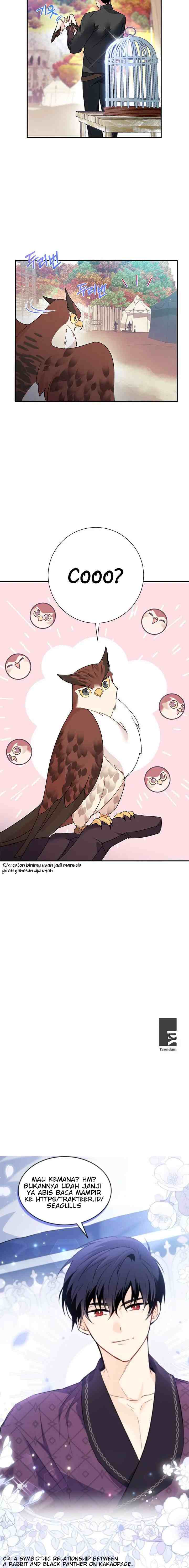 Cavier Falcon Princess chapter 44 halaman 19
