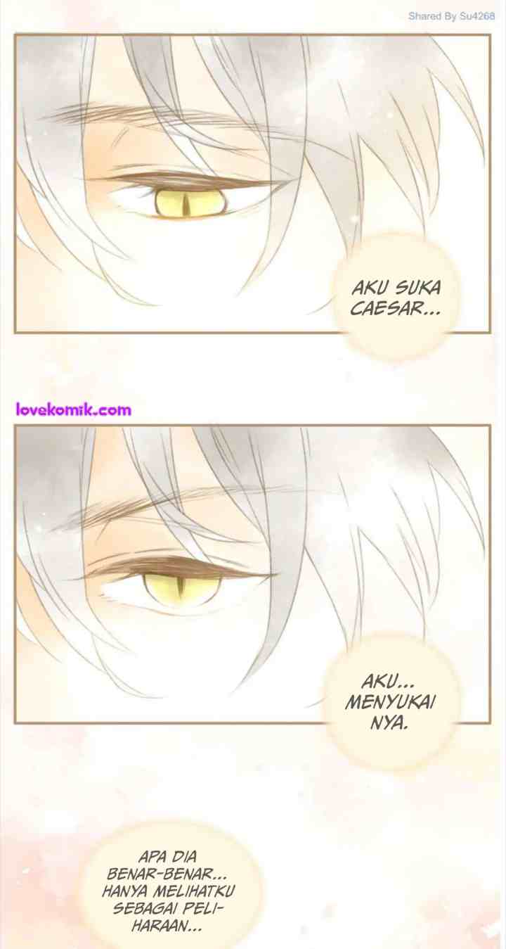A World Ruled By Cats chapter 46 halaman 13