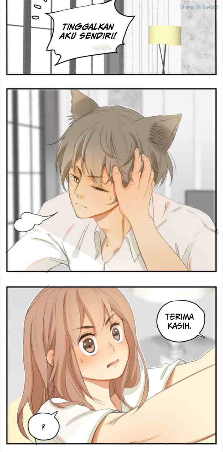 A World Ruled By Cats chapter 46 halaman 9