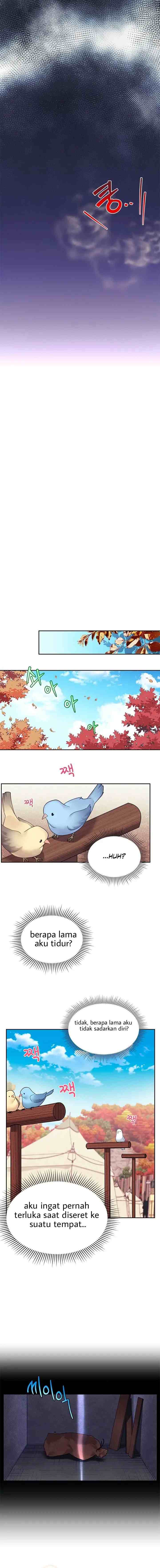 Cavier Falcon Princess chapter 1 halaman 9