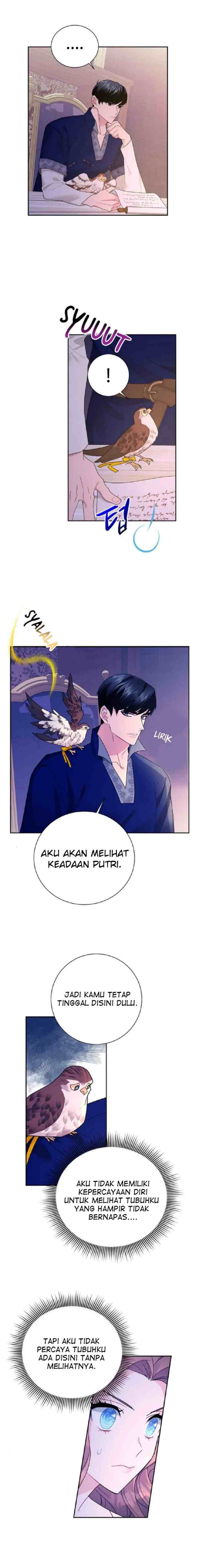 Cavier Falcon Princess chapter 36 halaman 8