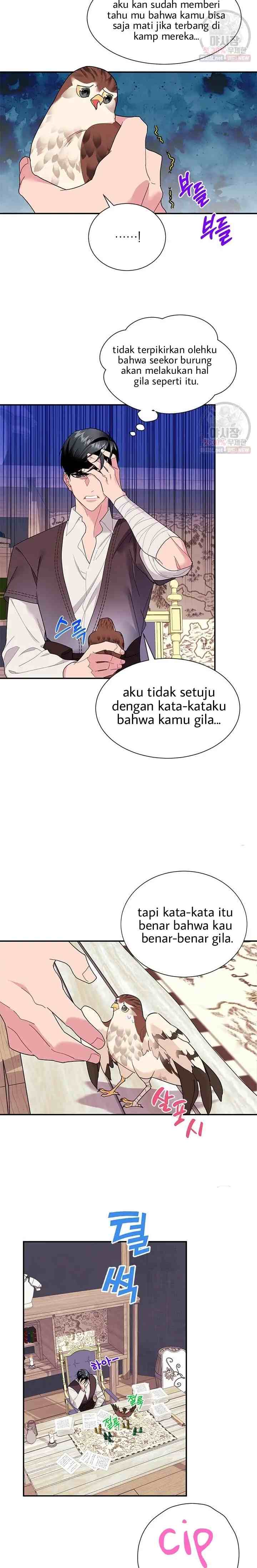 Cavier Falcon Princess chapter 18 halaman 7