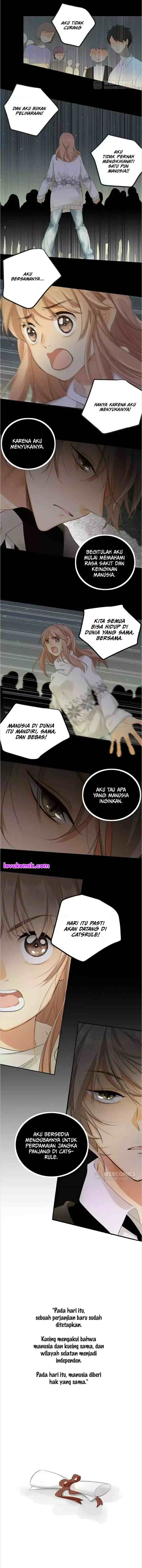 A World Ruled By Cats chapter 73 halaman 4