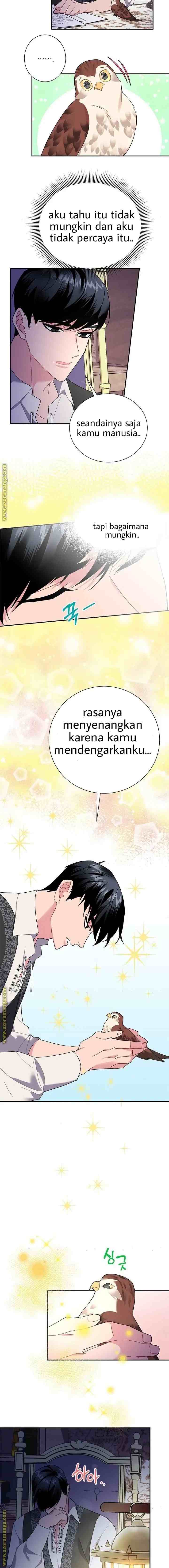 Cavier Falcon Princess chapter 21 halaman 13