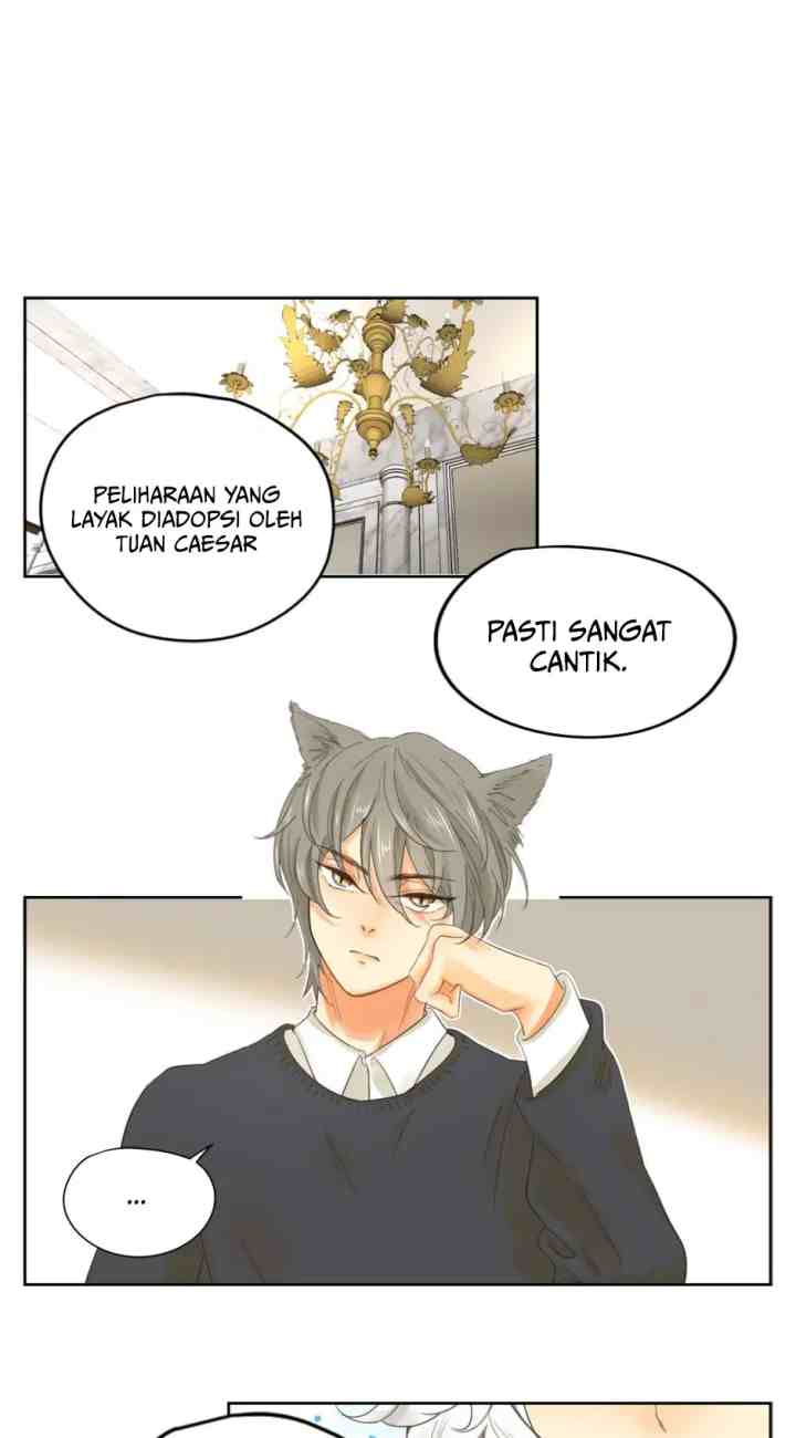 A World Ruled By Cats chapter 39 halaman 13