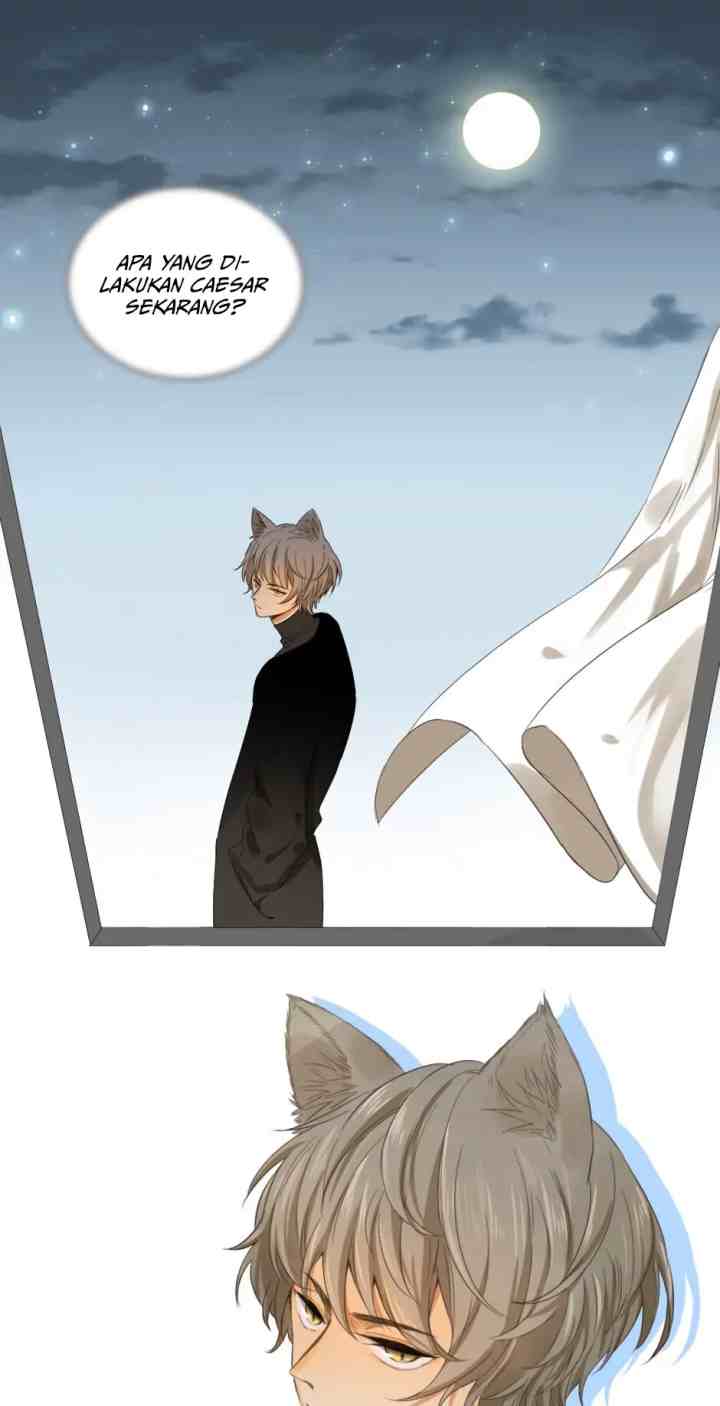 A World Ruled By Cats chapter 56 halaman 17
