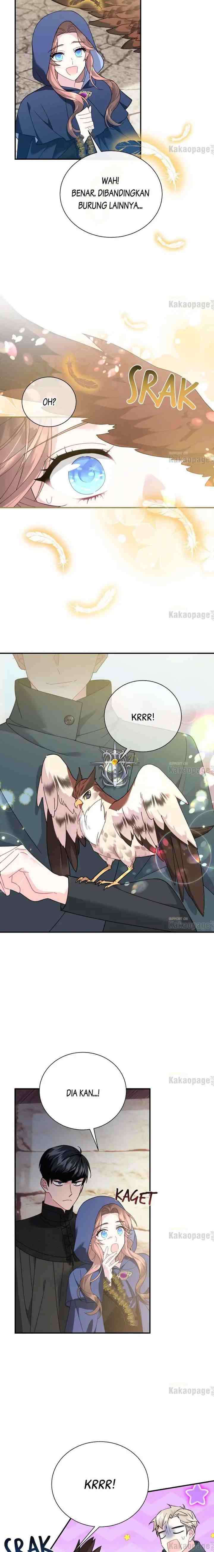 Cavier Falcon Princess chapter 71 halaman 17