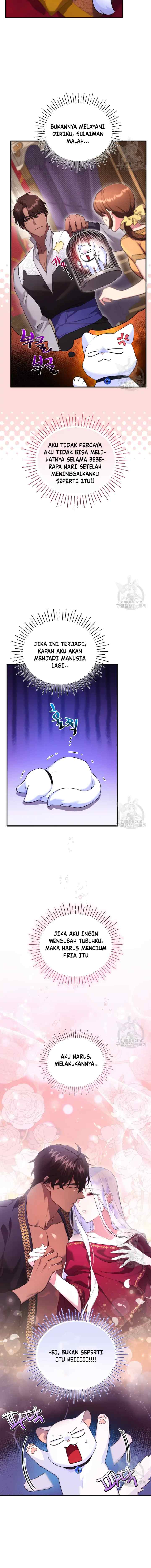 Became The Sultan's Favorite Cat chapter 6 halaman 7