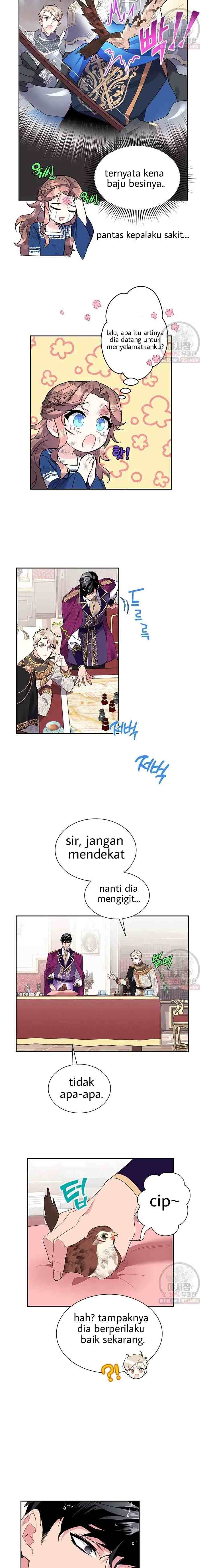 Cavier Falcon Princess chapter 12 halaman 10