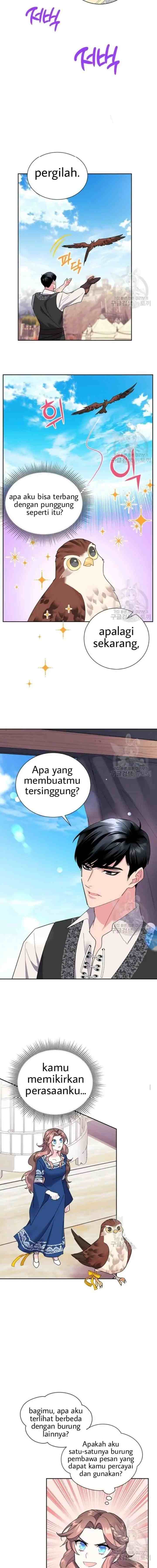 Cavier Falcon Princess chapter 23 halaman 5