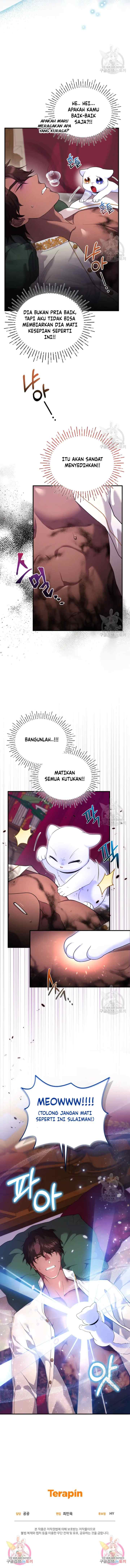 Became The Sultan's Favorite Cat chapter 6 halaman 12