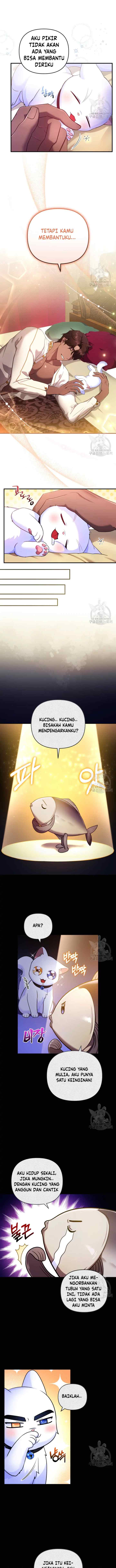 Became The Sultan's Favorite Cat chapter 7 halaman 4