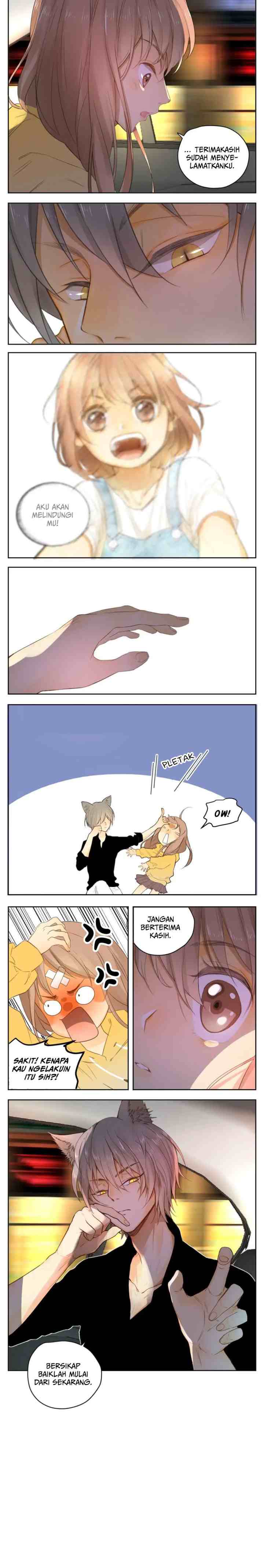 A World Ruled By Cats chapter 26 halaman 8