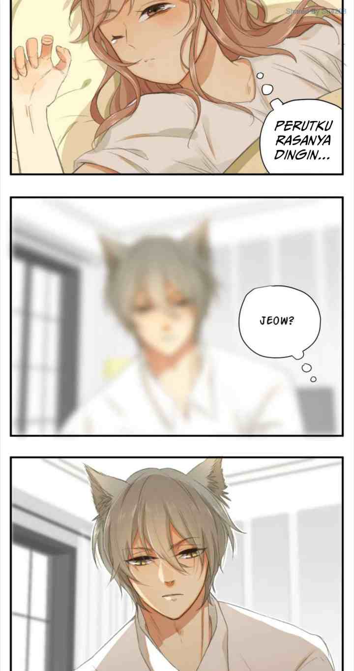 A World Ruled By Cats chapter 46 halaman 5