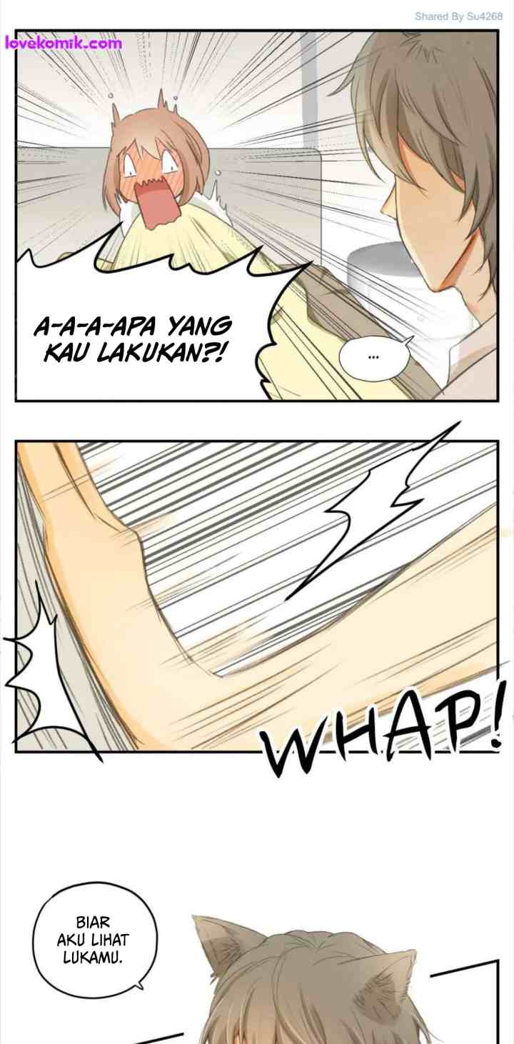 A World Ruled By Cats chapter 46 halaman 7