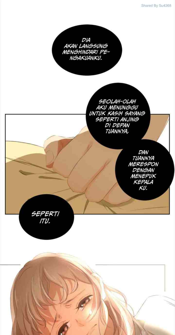 A World Ruled By Cats chapter 47 halaman 6