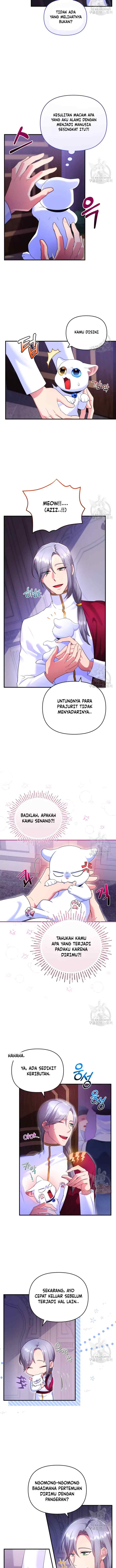 Became The Sultan's Favorite Cat chapter 5 halaman 6