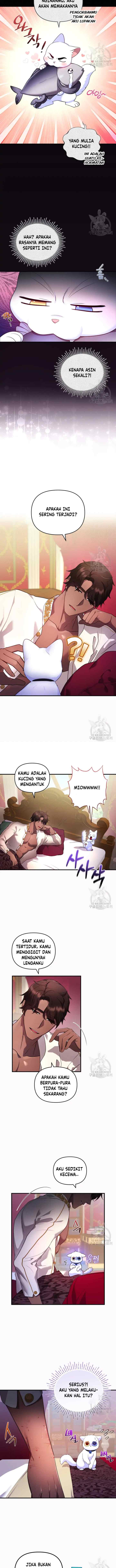 Became The Sultan's Favorite Cat chapter 7 halaman 5