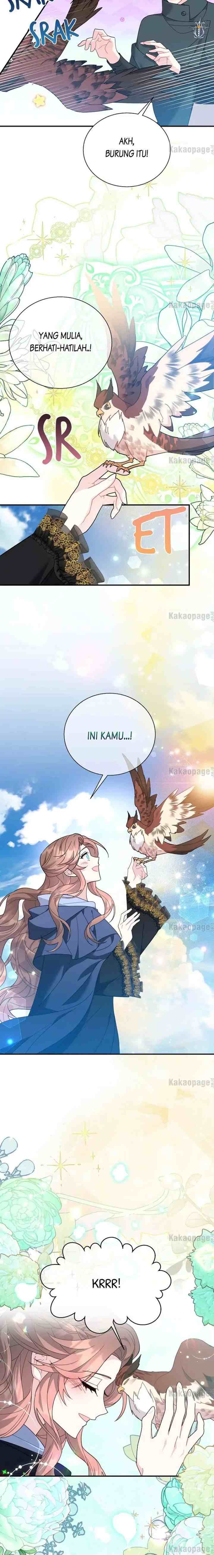 Cavier Falcon Princess chapter 71 halaman 18