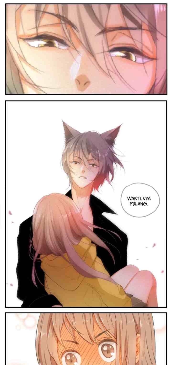 A World Ruled By Cats chapter 35 halaman 7