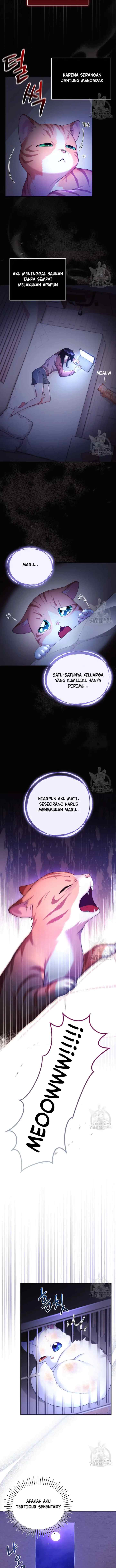 Became The Sultan's Favorite Cat chapter 2 halaman 4