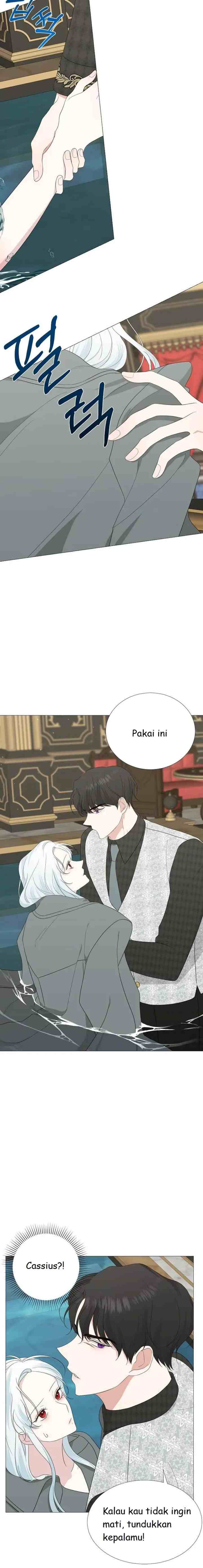 Somehow, My Tyrant Husband Has Became Cautious chapter 13 halaman 5