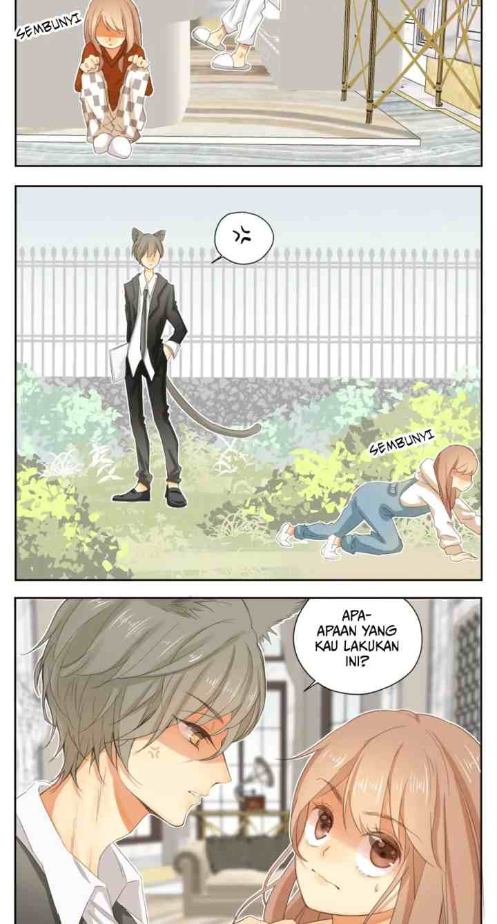 A World Ruled By Cats chapter 37 halaman 4