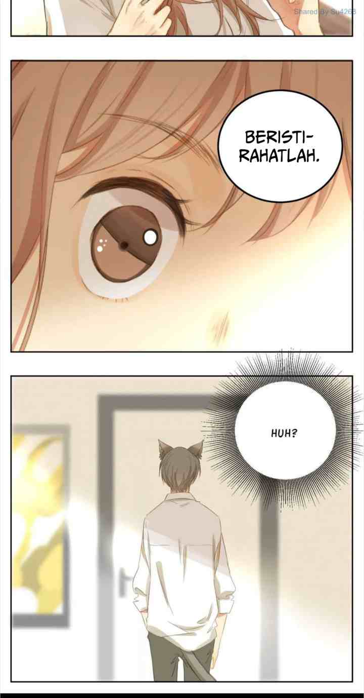 A World Ruled By Cats chapter 47 halaman 4