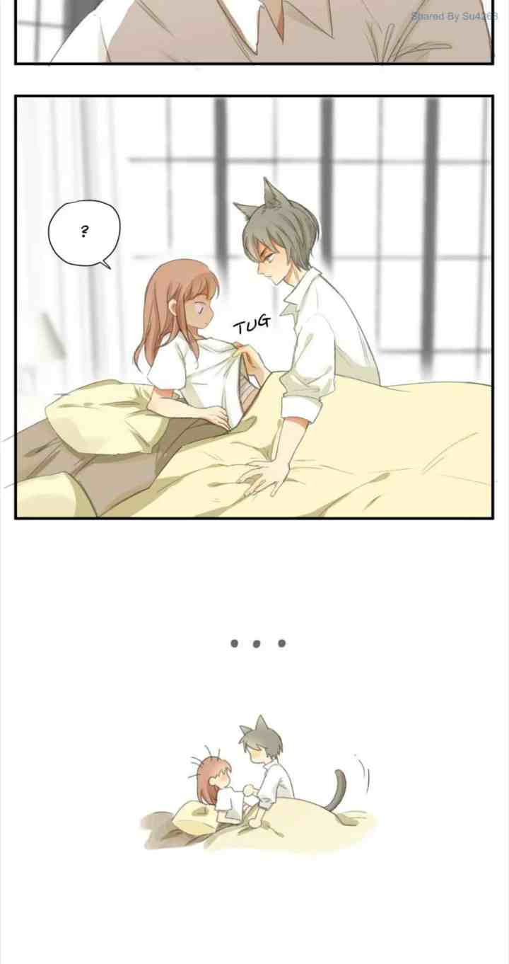 A World Ruled By Cats chapter 46 halaman 6