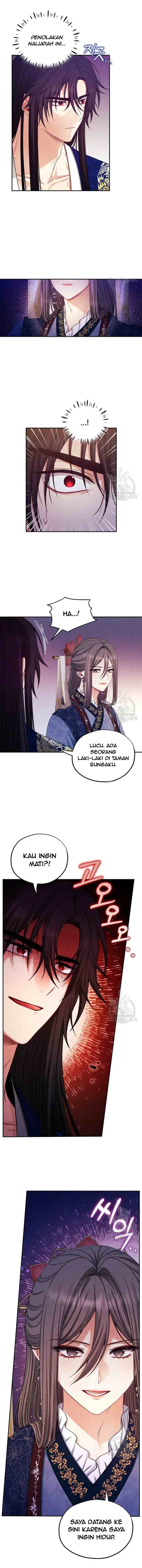 Elixir of the Sun chapter 92 halaman 11