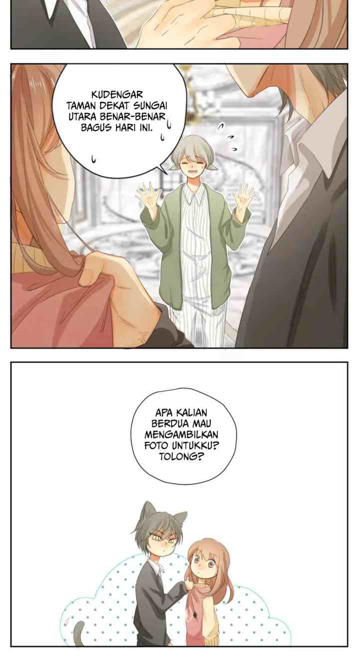 A World Ruled By Cats chapter 37 halaman 5
