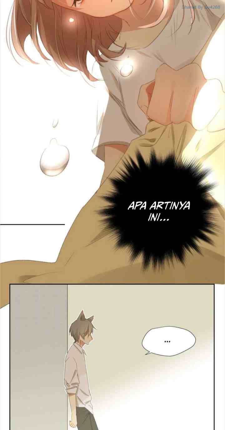 A World Ruled By Cats chapter 47 halaman 7