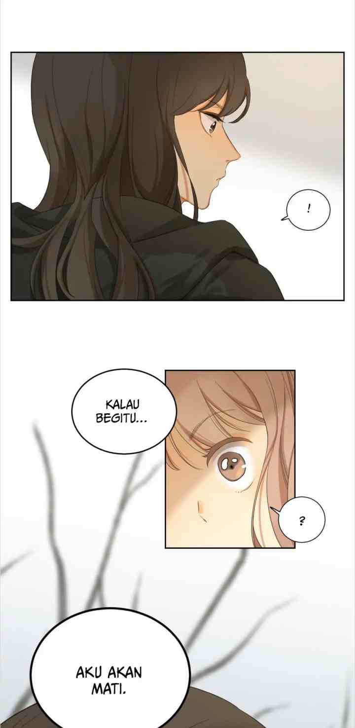 A World Ruled By Cats chapter 56 halaman 7
