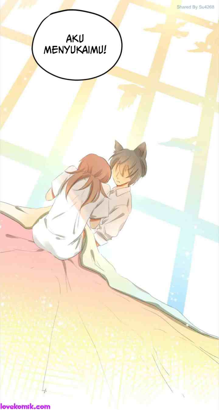 A World Ruled By Cats chapter 46 halaman 16