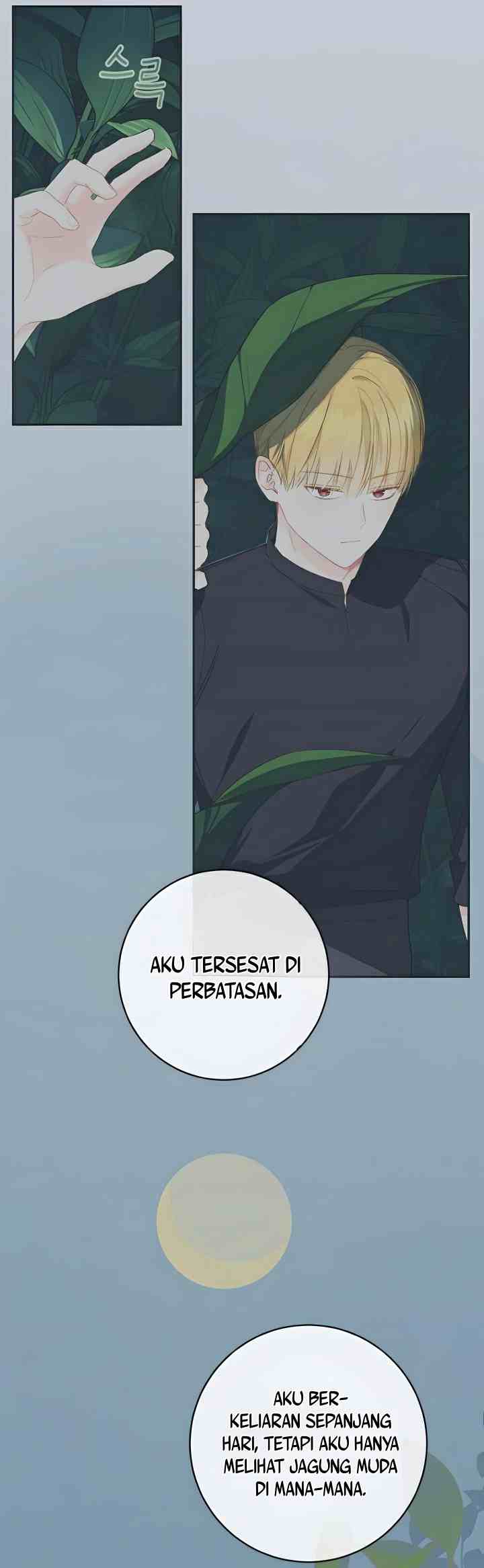 Marronnier Farm Near by the Imperial Palace chapter 50 halaman 12