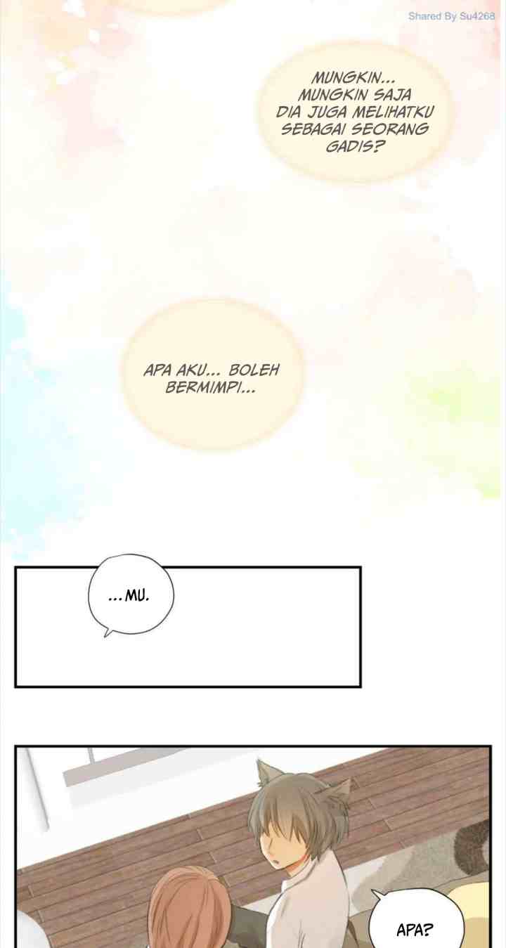 A World Ruled By Cats chapter 46 halaman 14