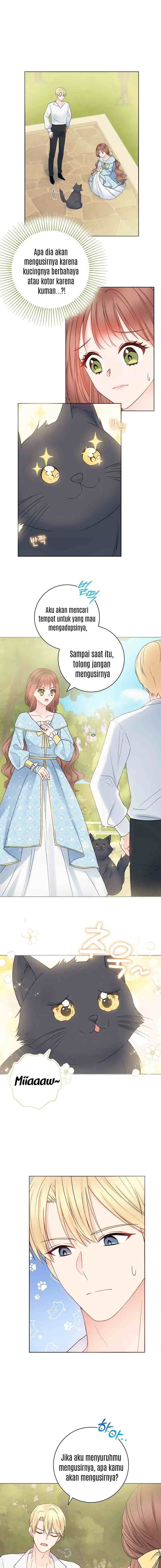 Sickly? Husband's Contractual Wife chapter 11 halaman 8