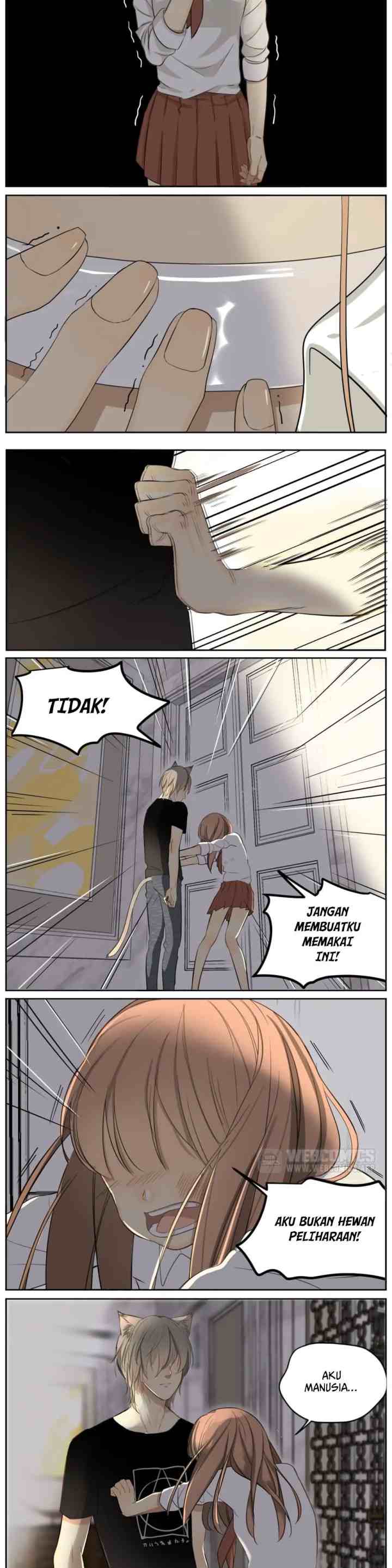 A World Ruled By Cats chapter 6 halaman 4