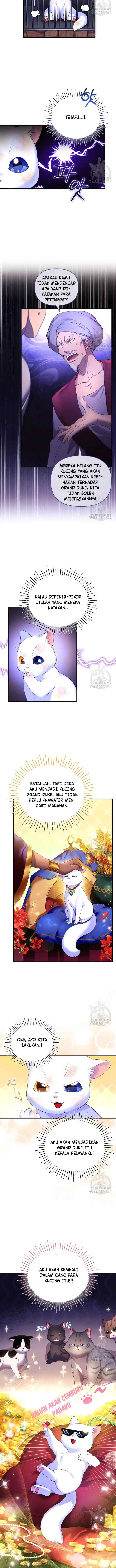 Became The Sultan's Favorite Cat chapter 2 halaman 6