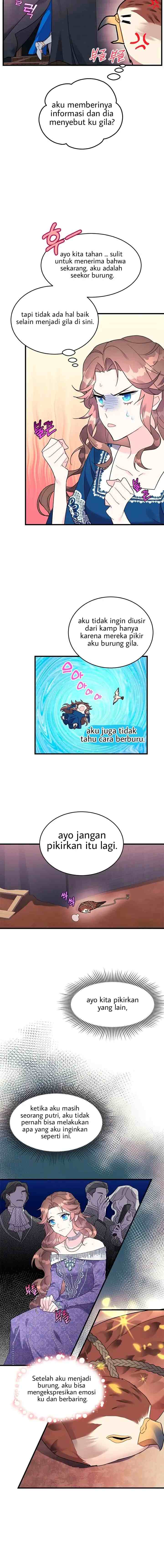 Cavier Falcon Princess chapter 4 halaman 4