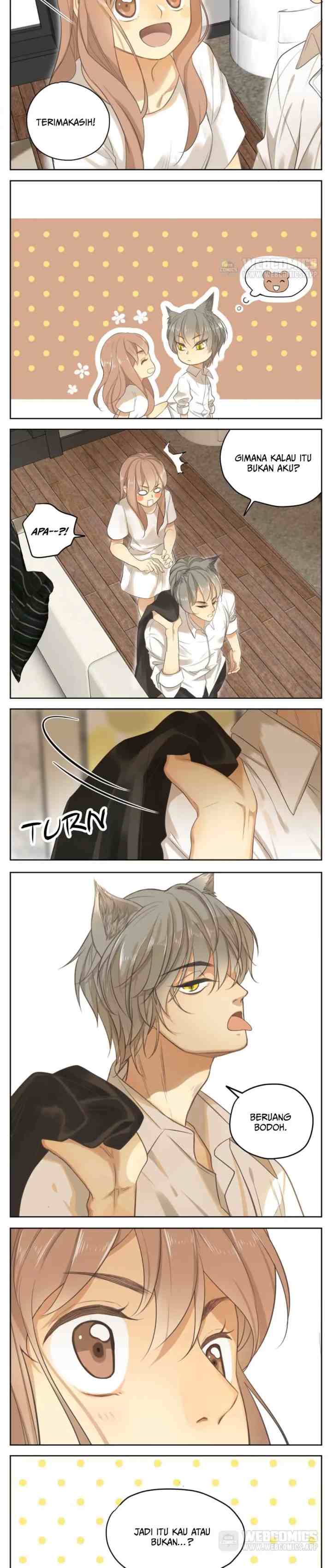 A World Ruled By Cats chapter 16 halaman 8