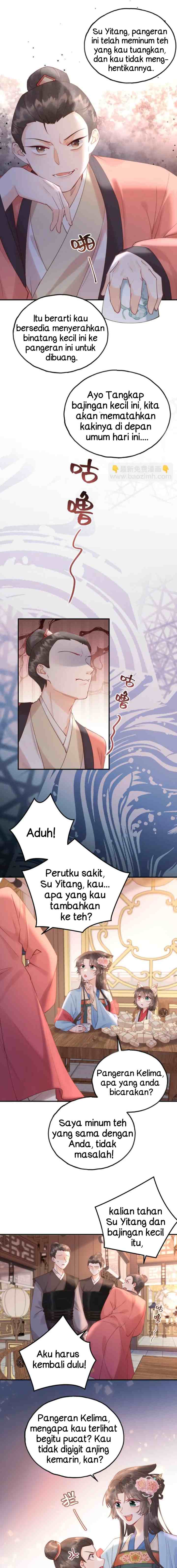 After Transmigrating as the Biological Mother's Villainous Devil King chapter 12 halaman 6