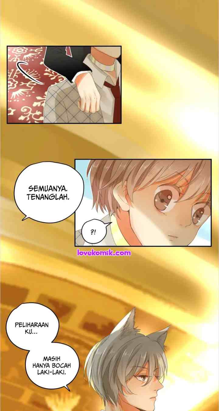 A World Ruled By Cats chapter 40 halaman 12