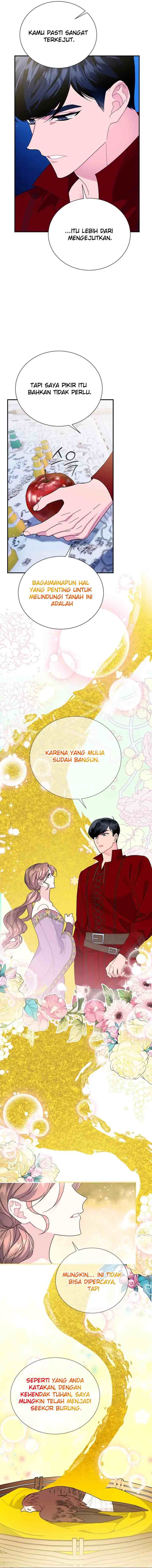 Cavier Falcon Princess chapter 60 halaman 6